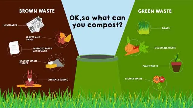 Home Composting Explainer Video